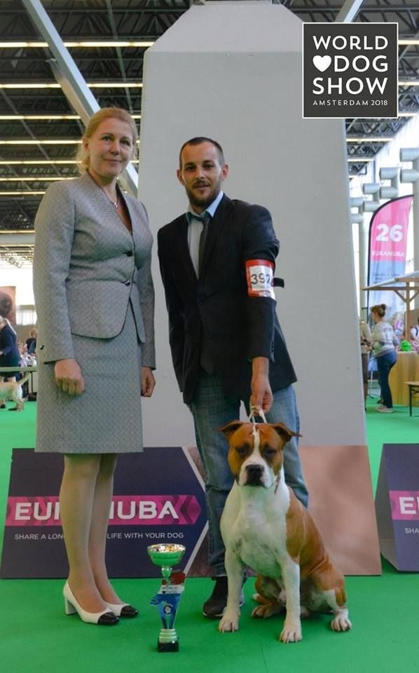 Vinitouta - World Dog Show 2018 Amsterdam