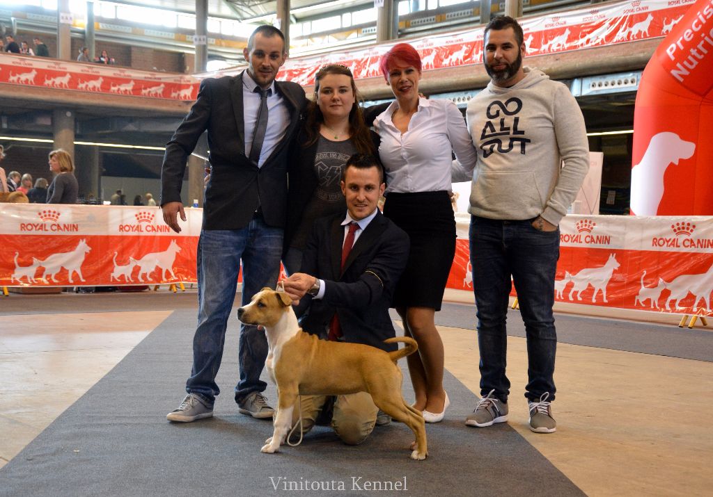 Vinitouta - International Dog Show Girona (España )