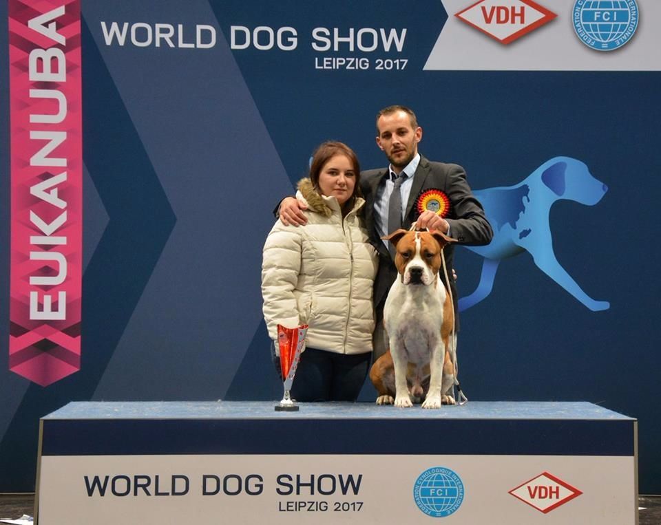 Vinitouta - World dog show 2017 Liezpig Germany