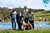  - Amstaff Major 2016 And Monografica Regional CEAST (Spain)