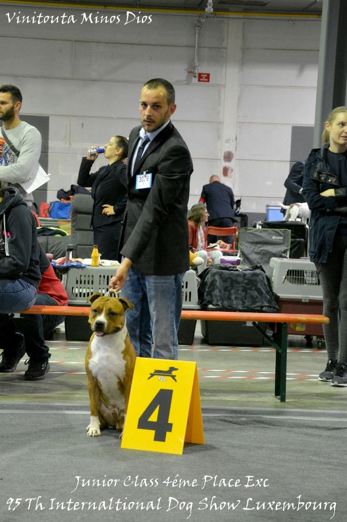 Vinitouta - 95Th International Dog Show Luxembourg