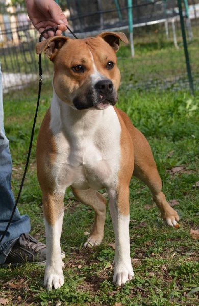 Vinitouta Junior sunshine