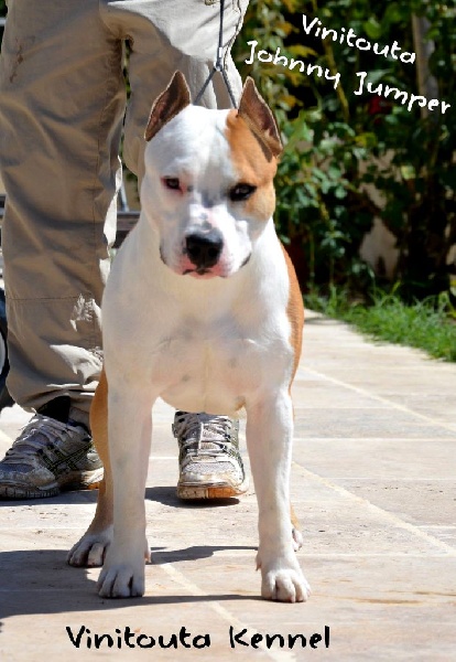 Vinitouta Johnny jumper
