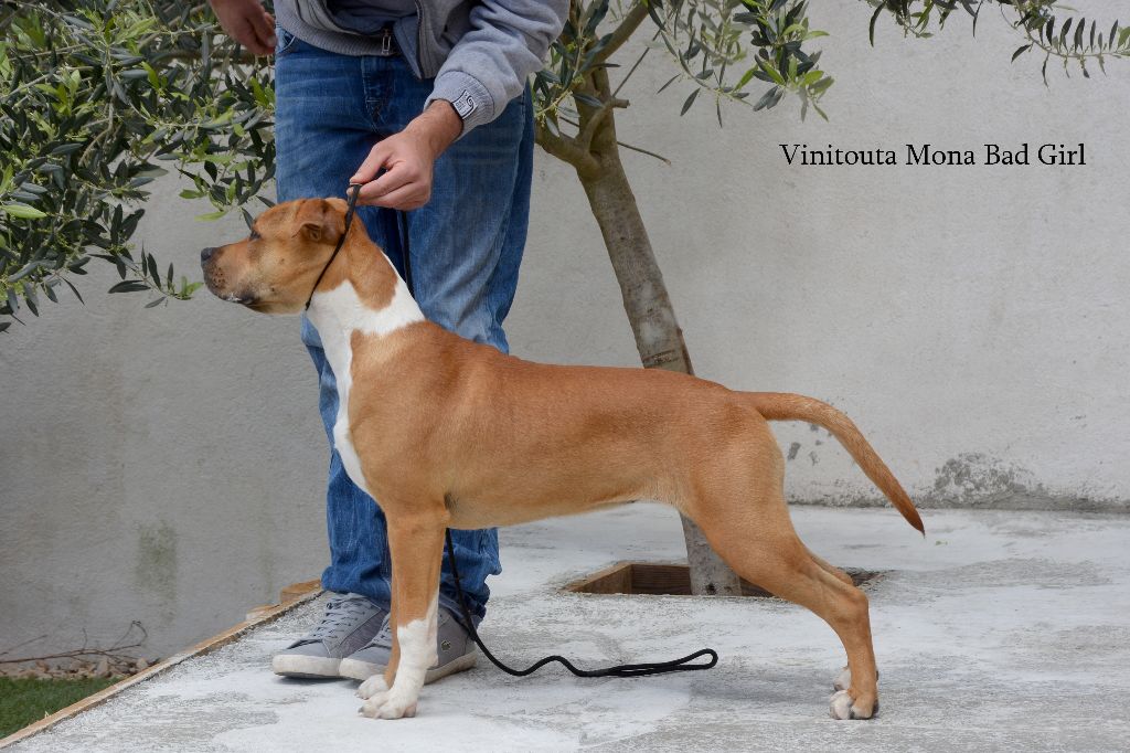 Vinitouta Mona bad girl