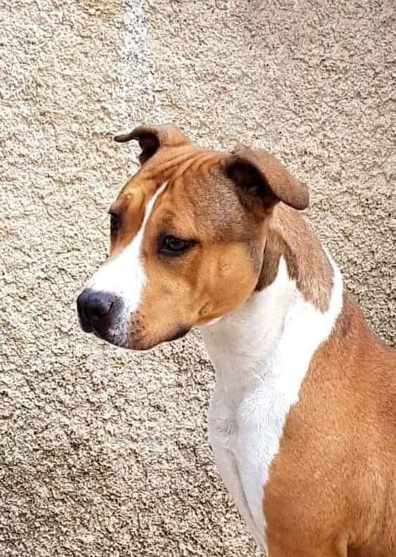 Vinitouta Lady lola
